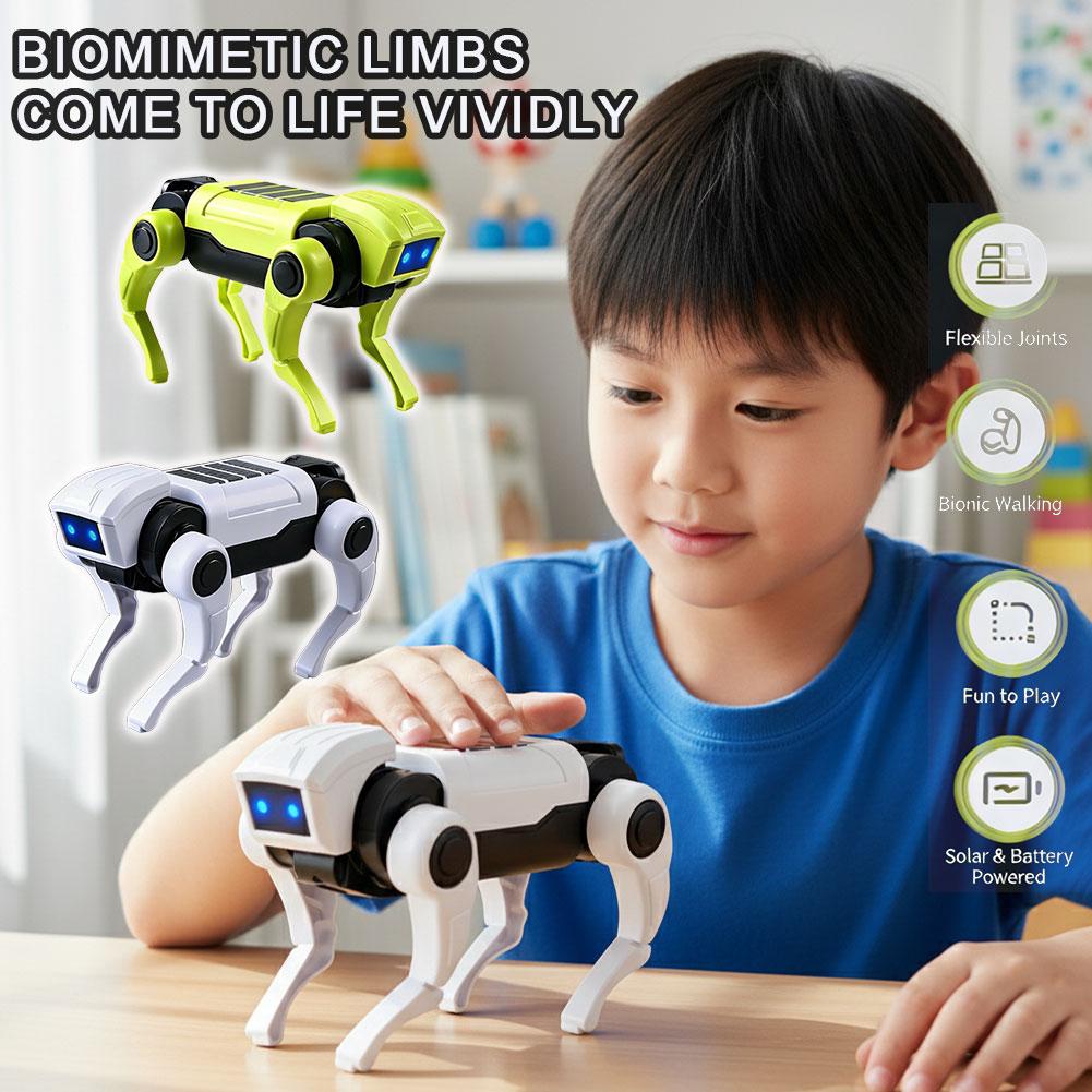 Diy Robot Electronics Kit - DIY-montage RC Robot Hond Speelgoed Afstandsbediening