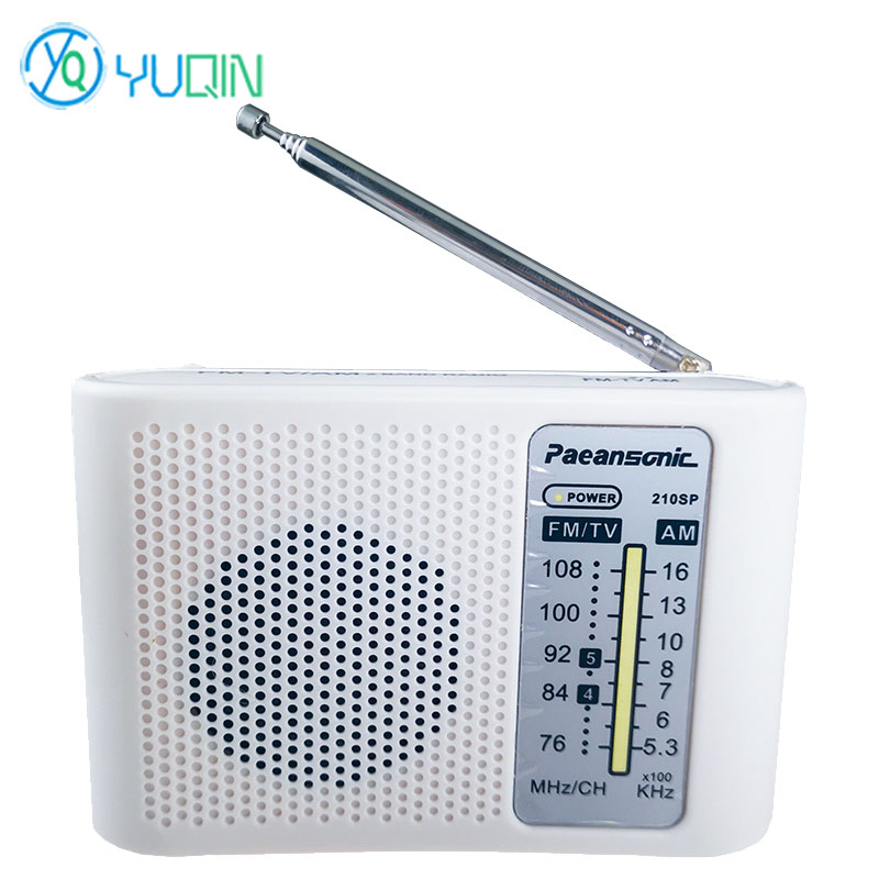 210SP AM/FM Radio Kit DIY elek - Diy Electronics Projects For Beginners recensie en prijs